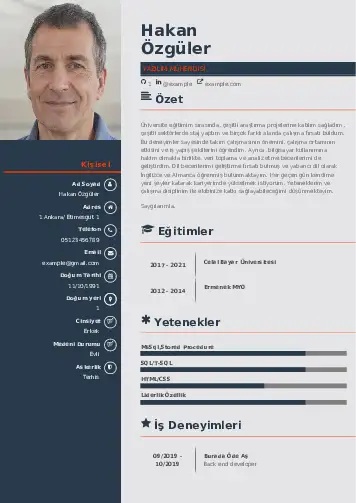 Yazılım Mühendisi Cv Örnekleri cv indir